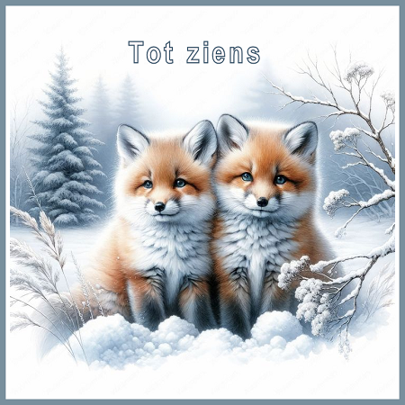 Set winter 25-Tot z…