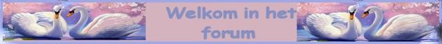 Set lente 5-Forum.j…