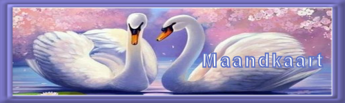 Set lente 5-Maandka…