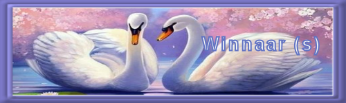 Set lente 5-Winnaar…
